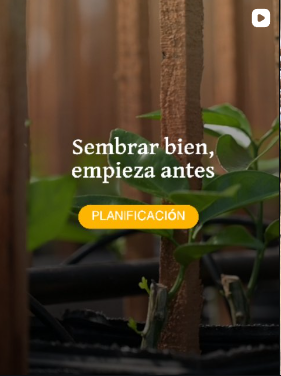 Langellotti Instagram Post